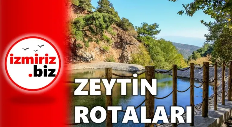 Video Resmi
