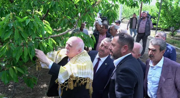 KEMALPAŞA'DA ZİRAİ DON İNCELEMESİ YAPILDI