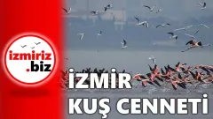 İzmiri Keşfet I İzmir Kuş Cenneti
