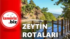 İzmiri Keşfet I Zeytin Rotaları