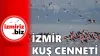 İzmiri Keşfet I Yarımada İzmir Rotaları